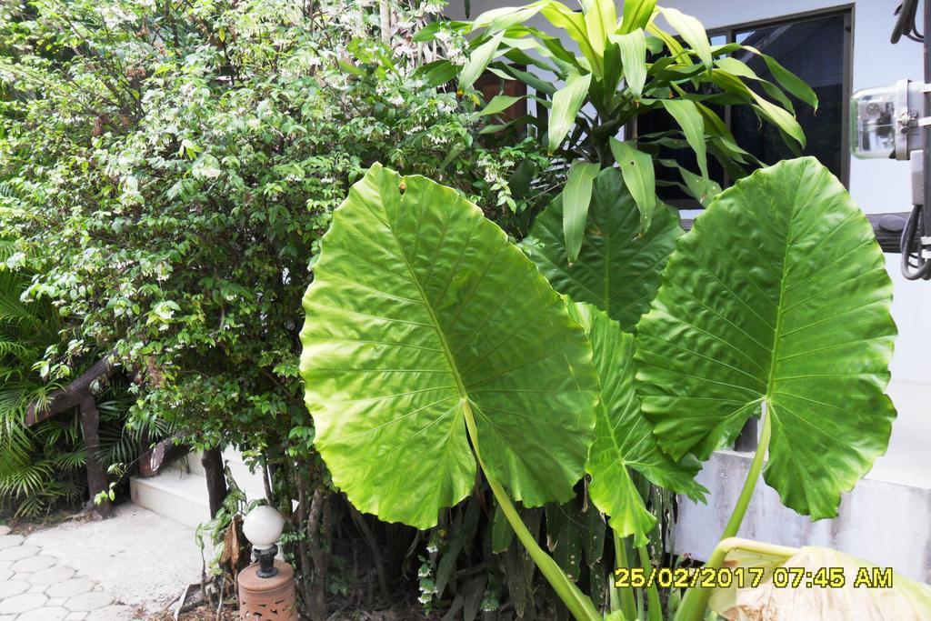 Aonang Sr Bungalows Ao Nang Ngoại thất bức ảnh