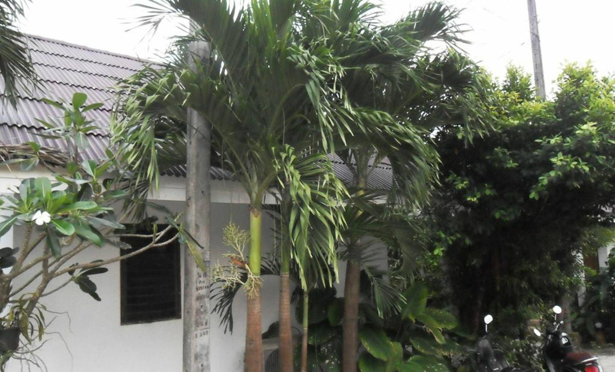 Aonang Sr Bungalows Ao Nang Ngoại thất bức ảnh